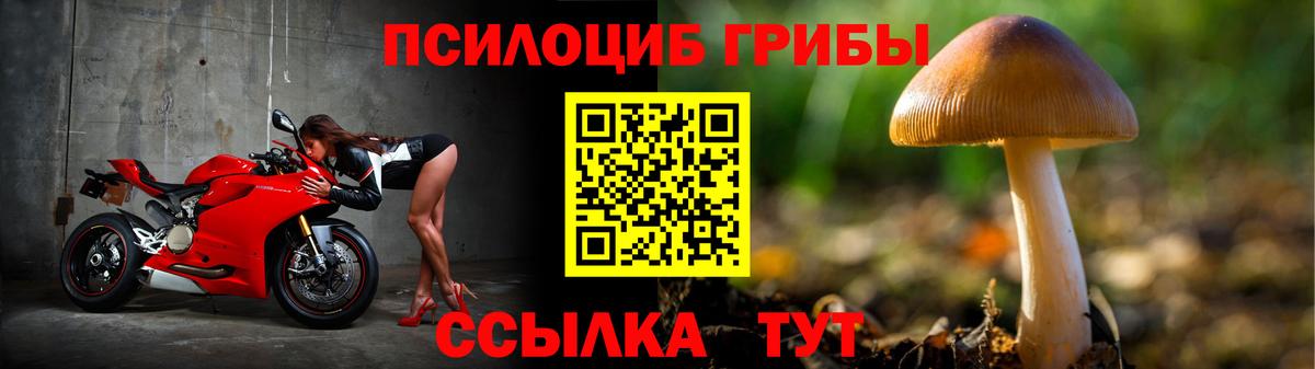 Галлюциногенные грибы прущие грибы Ртищево